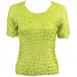 Solid Light Green