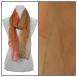 Olive-Rust Olive-Rust