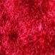 Tango Red Boutique Edition