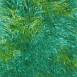 Bright Green-Lime Splash Boutique Edition