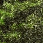 Boutique Edition Magic Scarves - Olive-Lime Splash Boutique Edition