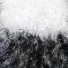  Paintbrush White-Salt 'n Pepper