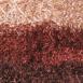 Three-Tone Browns Three-Tone Browns