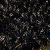 Value 12 Pack  Magic Scarf Assortments - Multi Black-Gold Dozen Pack