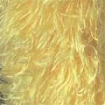Bright Yellow Dozen Pack