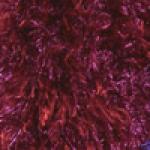 Burgundy Dozen Pack