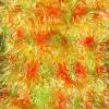 Value 12 Pack  Magic Scarf Assortments - Multi Citrus Blend Dozen Pack