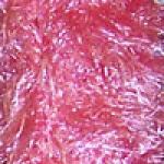 Coral Dozen Pack