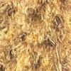 Value 12 Pack  Magic Scarf Assortments - Multi Goldenrod Dozen Pack