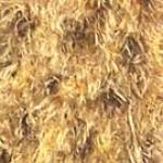 Multi Goldenrod Dozen Pack