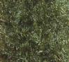 Value 12 Pack  Magic Scarf Assortments - Olive Dozen Pack