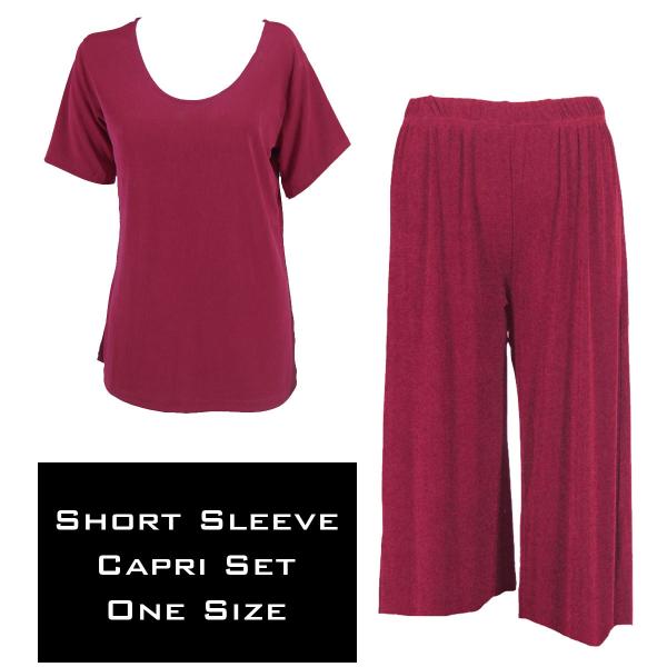 Wholesale 3429 - Slinky Short Sleeve Sets  CABERNET - One Size Fits Most