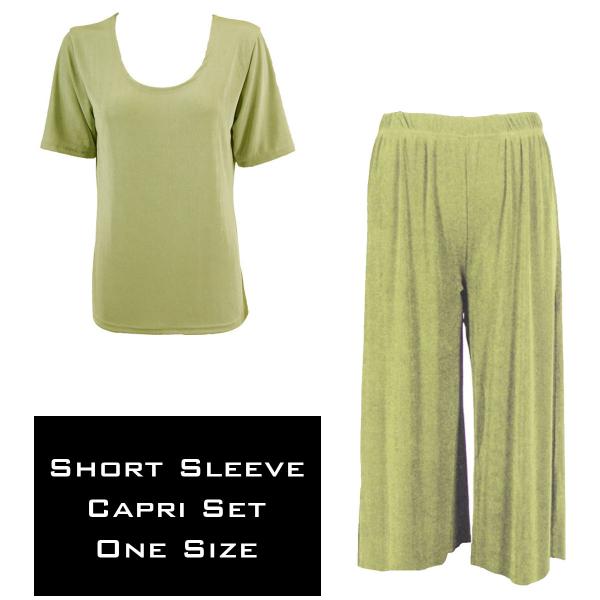 Wholesale 3429 - Slinky Short Sleeve Sets  LEAF GREEN - One Size Fits Most
