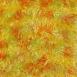  Multi Citrus Blend