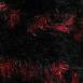 Stripes Black-Red