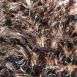 Multi Beige-Brown-Black Multi Beige-Brown-Black