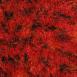  Multi Lava