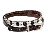 Reptile with Crystals - Brown