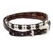 Reptile with Crystals - Brown