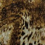 Magic Crush Satin - Giraffe Brown
