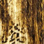 Mini Pleat Satin - Giraffe Brown
