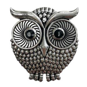 Wholesale  006 Wise Owl Magnetic Brooch - 2