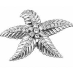 2997/T - Artful Design Magnetic Brooches 034/S <br>
Silver Starfish  - 2.25