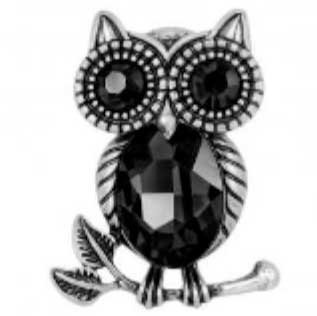 2997/T - Artful Design Magnetic Brooches